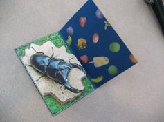 IMG_6379