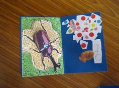 IMG_0639