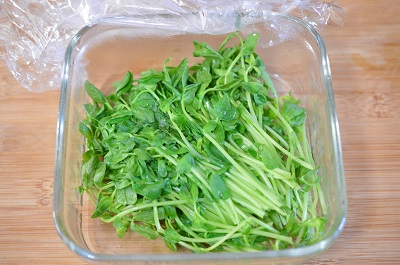 豆苗工程2