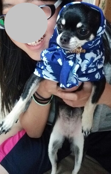 チェロたん1