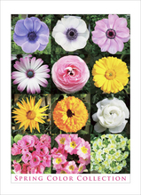 springp