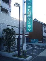 62e4038d.jpg