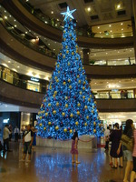 DSC04541