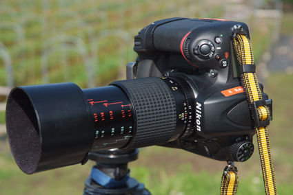 Tokina AT-X M90 90mm F2.5 MACRO : きもち金持ちのむらから ～天栄