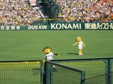 トラッキー☆