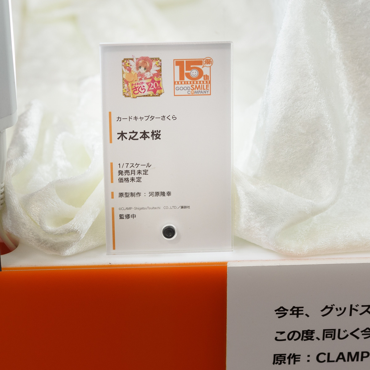 CCS_010
