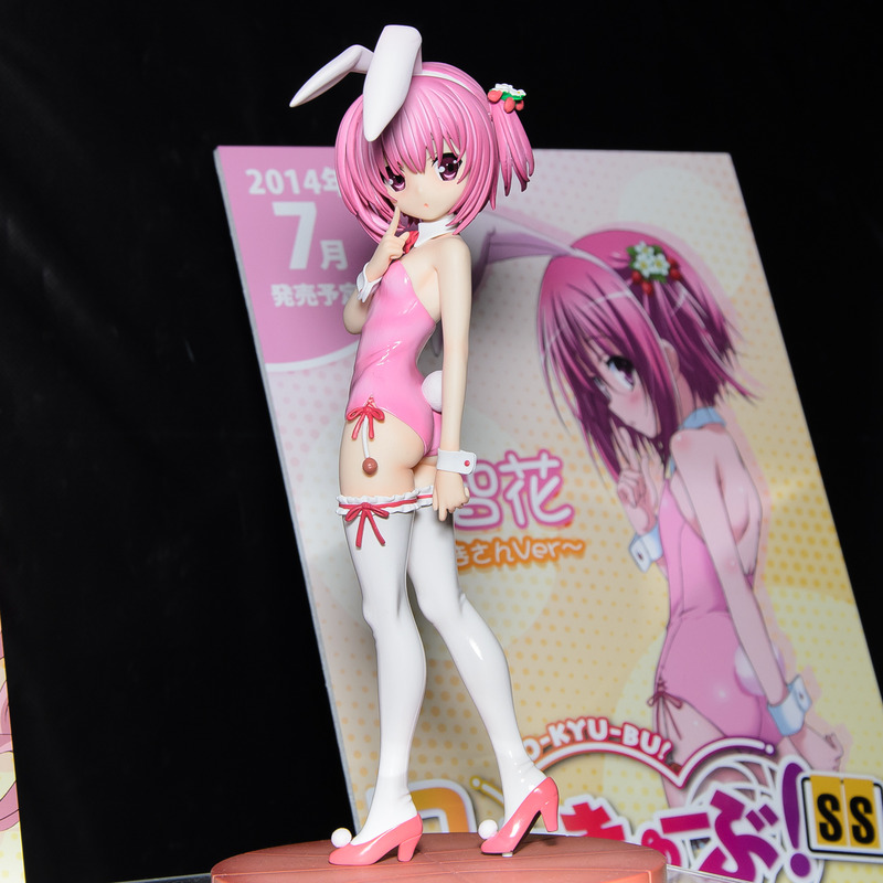 WF2014S-PL-001