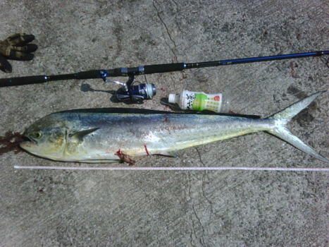 IMG00013-20110829-1011
