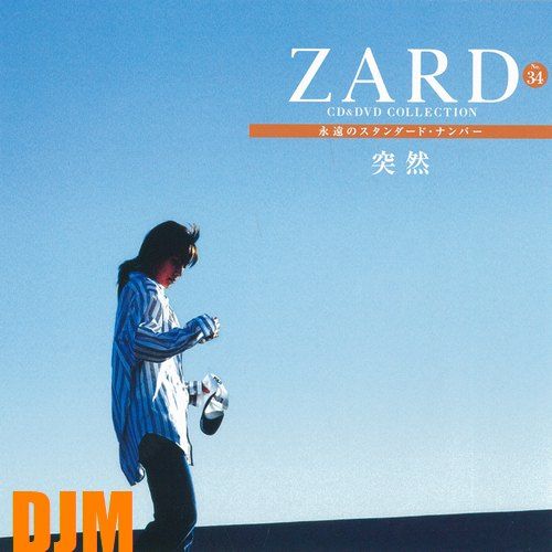 ZARD 坂井泉水 稀少CD-ROM/8cmCDS/ARTIST FILE 他