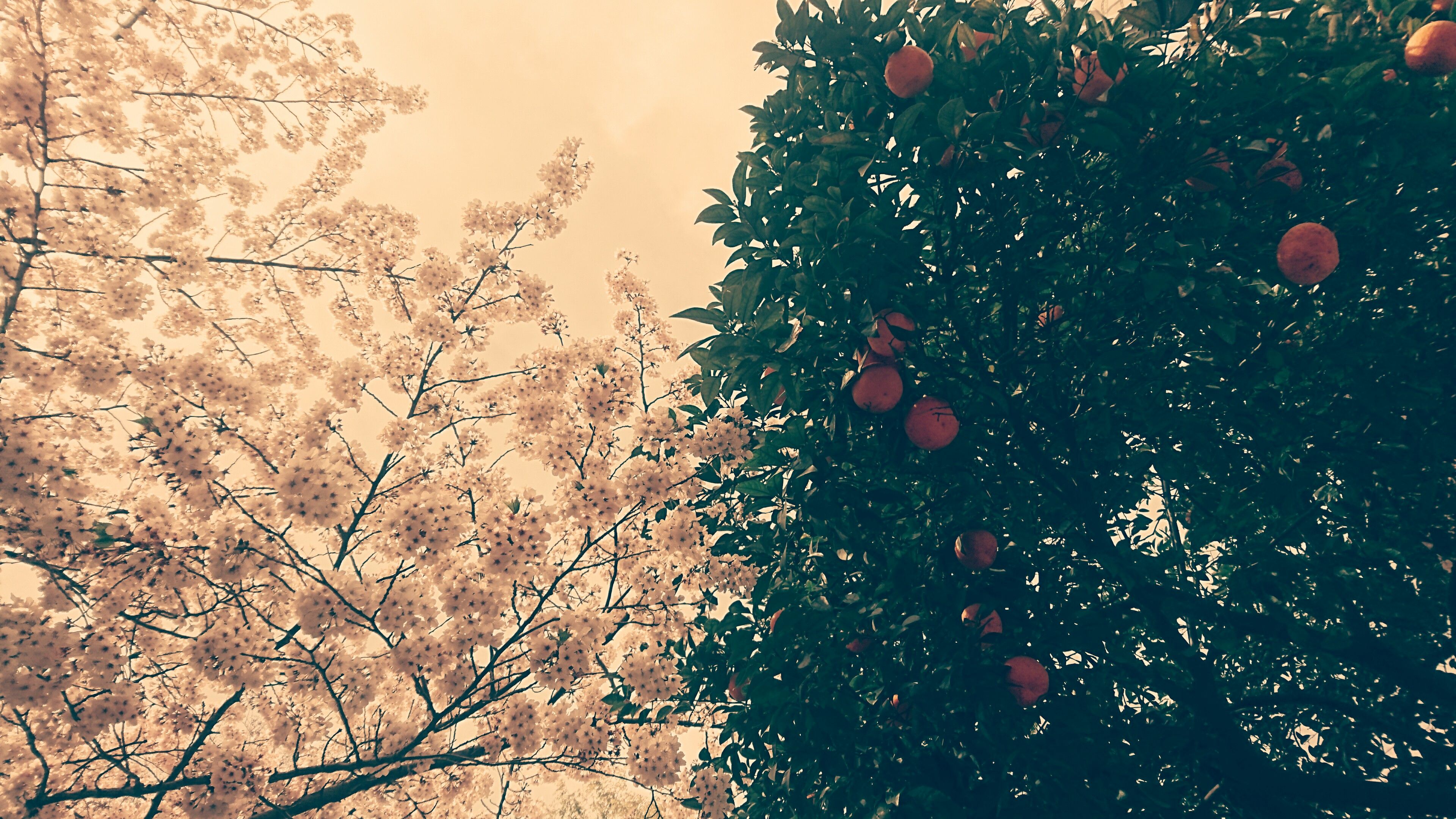 _20170410_135631