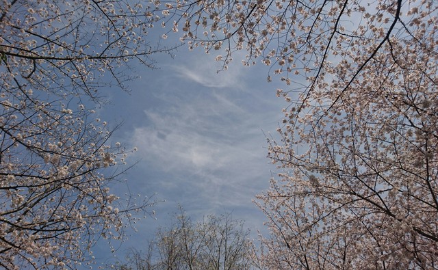 _20180328_162315