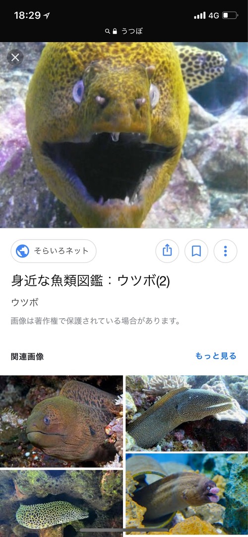 D772F960-1C54-48B9-8CB1-1704D01C17F7