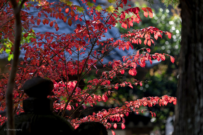 kamakura14950