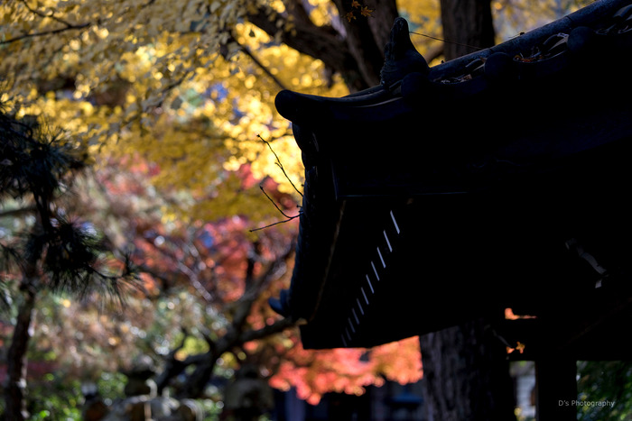 kamakura14914