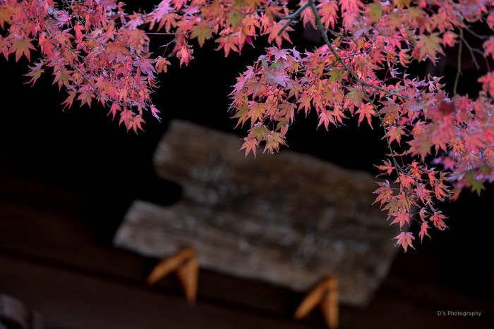 kamakura14922