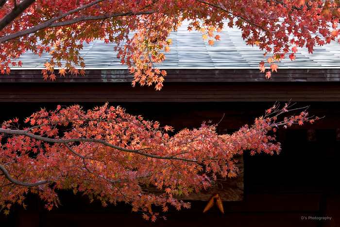 kamakura14926
