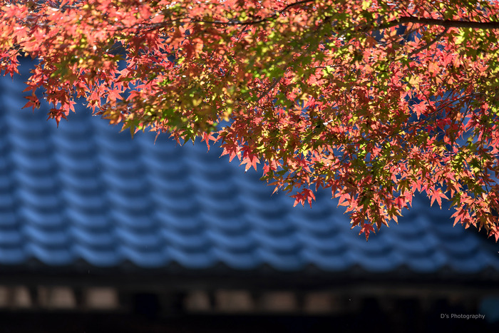 kamakura14937