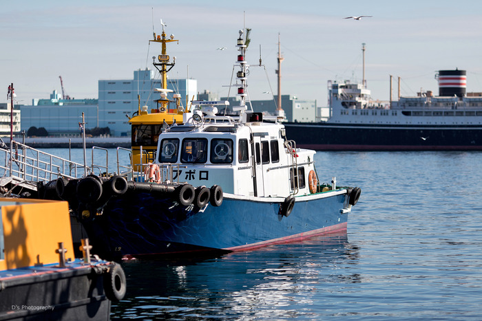 yokohama21629