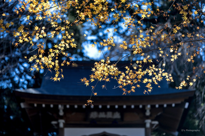 kamakura15030