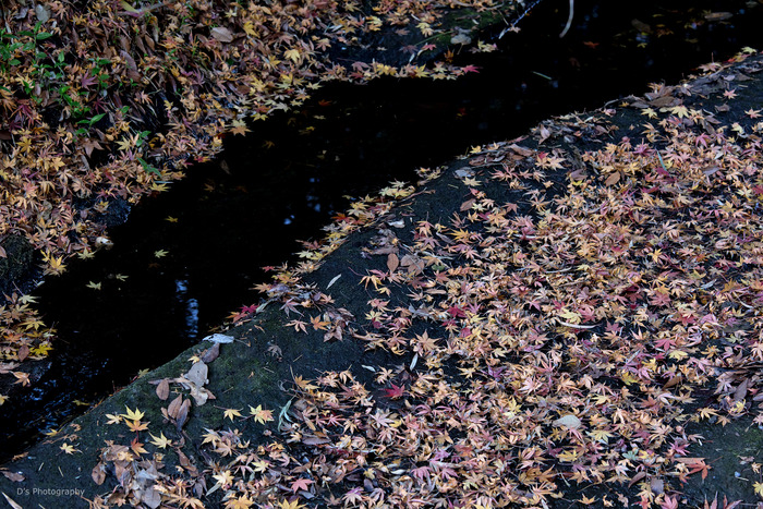 kamakura15029