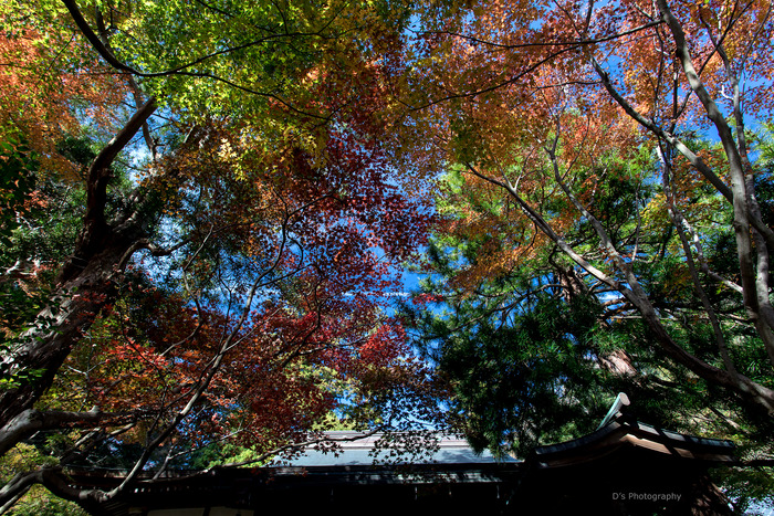 kamakura14936
