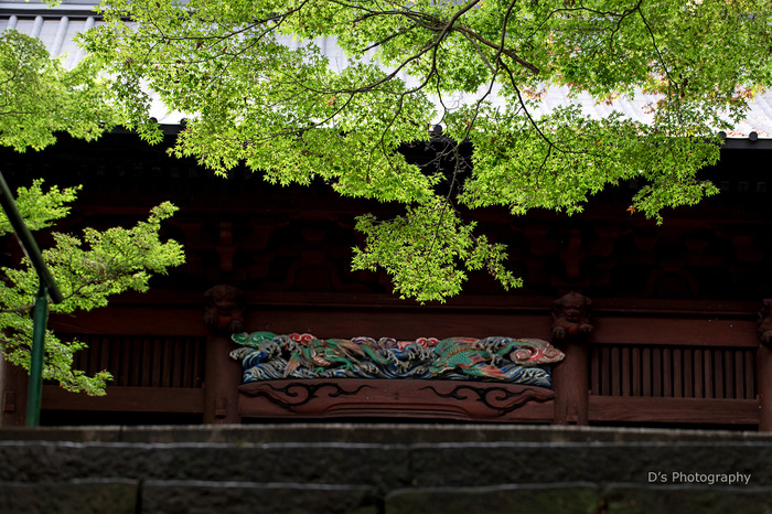 kamakura14896
