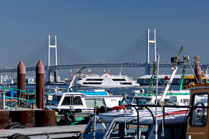 yokohama21628