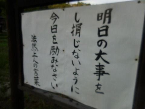 DSCN3837