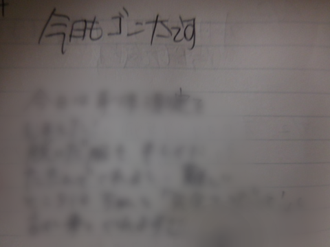 DSCN2934g