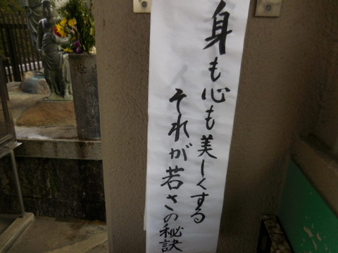 DSCN2200