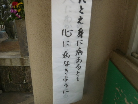 DSCN3246