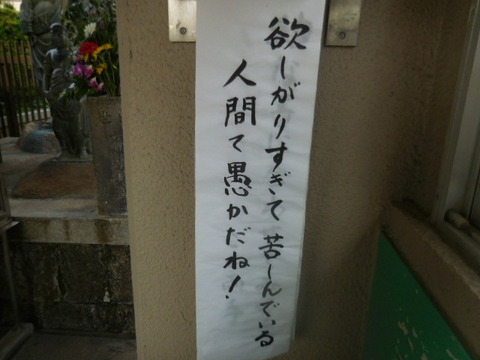 DSCN3267