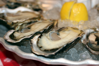oyster1