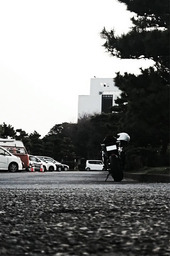 DSC_0165_sh