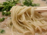 濃厚白湯 とんこつ 麺のアップ