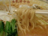 辛し味噌ラーメン 麺のアップ