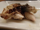 鯖 断面
