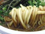ぶっかけ中華 + カレー 麺のアップ