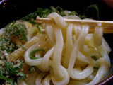 かまたま 麺のアップ