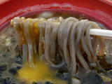 プレミア濃厚鶏白湯つけそば・石臼挽き麺 麺のアップ