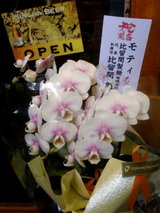 津軽中華そば 田中寛兵衛 お祝いの花