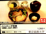 ハンバーグ天丼 告知