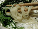 冷やし軍鶏白湯麺 〜梅風味〜 麺のアップ