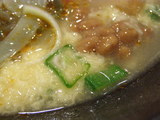 夏羽衣涼麺 具の一部アップ