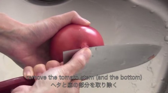 トマト_丸ごと_ごはん_オチケロン_美味しい_感動_動画