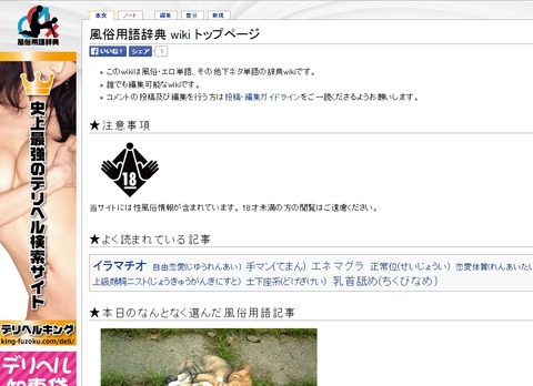 風俗用語辞典wiki