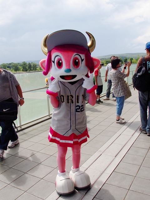 P8215778_R