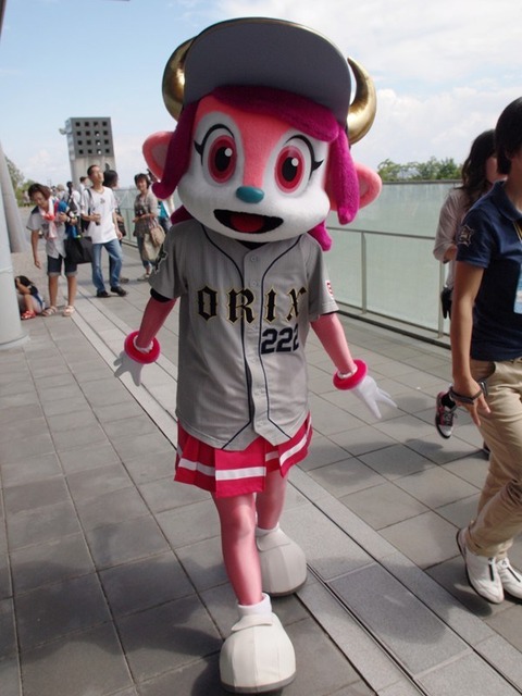 P8215831_R