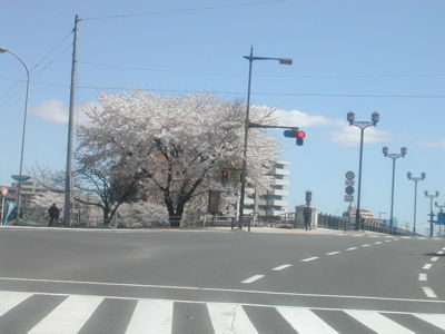 DSCN4505.jpg