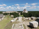 PA230184